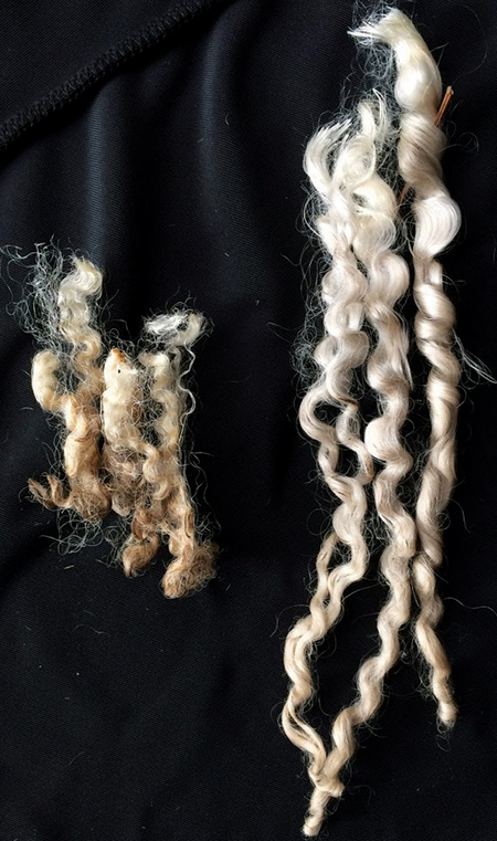 Fiber Artists